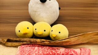 辰屋の切り落としで楽しむ!おうち焼きしゃぶ~シンプルイズベスト
