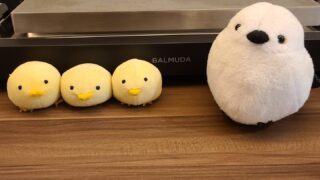 スタイリッシュ＆機能的｜BALMUDA The Plate Pro（ザ・プレート プロ）が選ばれる理由とおすすめ商品