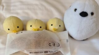 【福岡おみやげパン】三日月屋のクロワッサンが美味しすぎる!店舗一覧&フレーバーを紹介