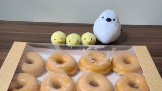 【コストコ】シュガードーナツがコスパ最強！気になるカロリー・味・値段を徹底レビュー