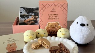 グランスタ東京で話題!ノーレーズンサンドイッチのキャラメルバターサンドイッチをお土産に