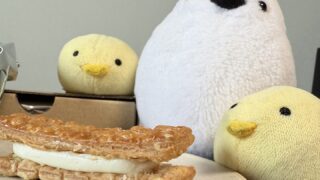 【東京駅限定】東京ミルクチーズ工場「チェダーチーズパイサンド」実食レビュー|サクサク香ばしいチーズスイーツ