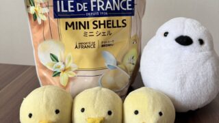 朝食にもおやつにも◎コストコで買えるILE DE FRANCE ミニシェル バニラ風味の魅力を徹底レビュー